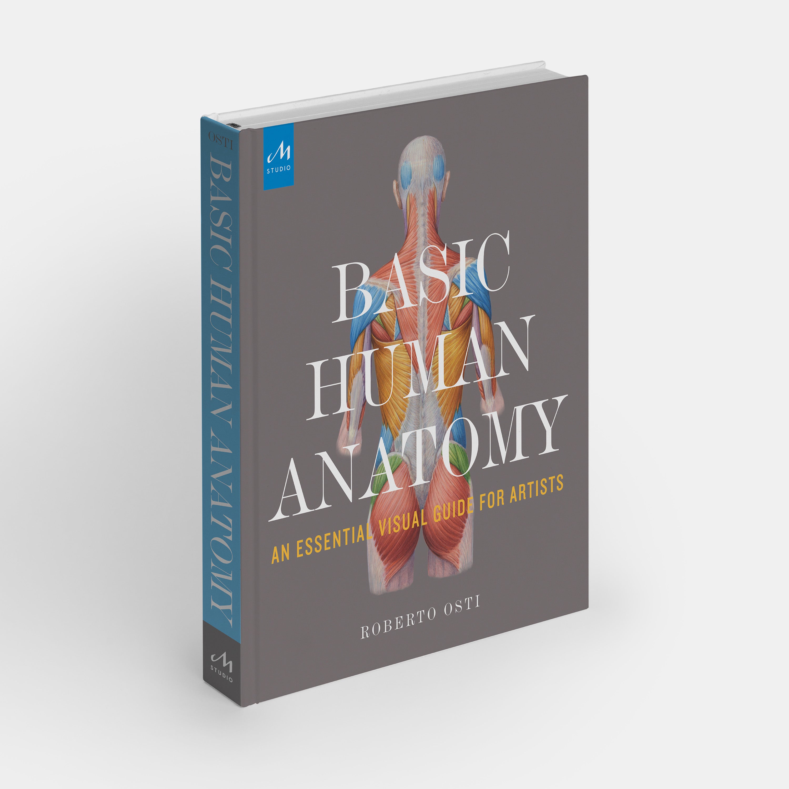 Basic Human Anatomy: An Essential Visual Guide for Artists | Standard ...