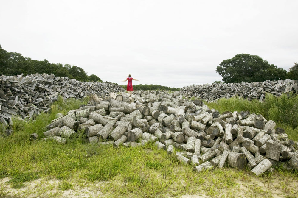 The Red Dress Sagaponack