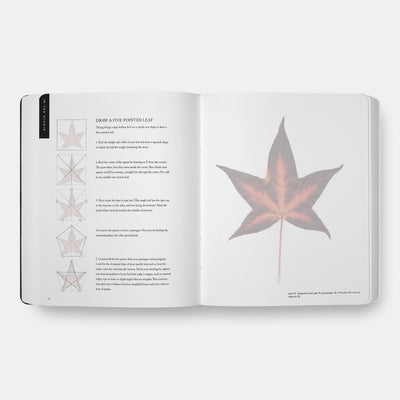 Beginning Drawing Atelier: An Instructional Sketchbook