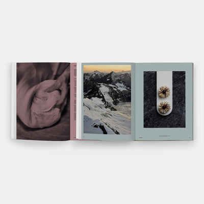 Beyond Peaks: The Cuisine of Schloss Schauenstein