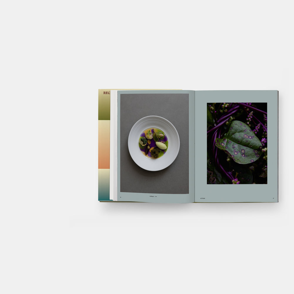 Beyond Peaks: The Cuisine of Schloss Schauenstein