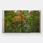 Brooklyn Bridge Park: Michael Van Valkenburgh Associates