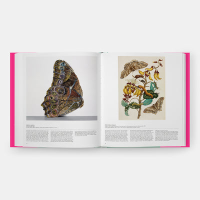 Butterfly: Exploring the World of Lepidoptera