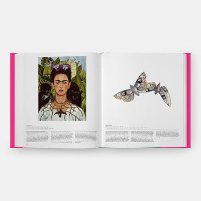 Butterfly: Exploring the World of Lepidoptera