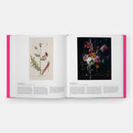 Butterfly: Exploring the World of Lepidoptera