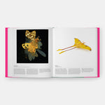 Butterfly: Exploring the World of Lepidoptera