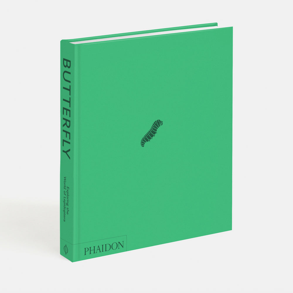 Butterfly: Exploring the World of Lepidoptera