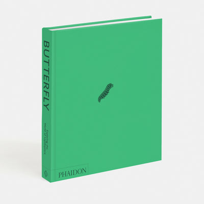 Butterfly: Exploring the World of Lepidoptera