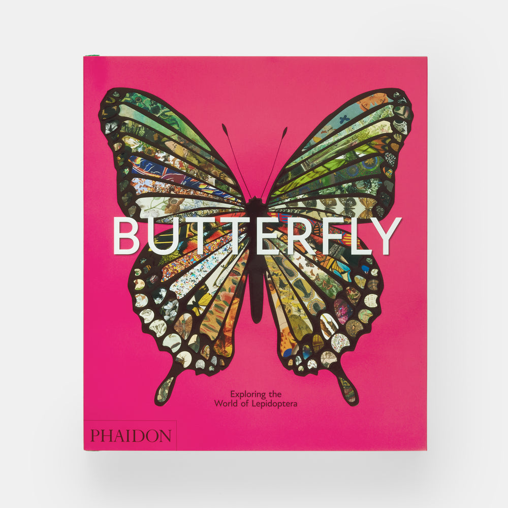 Butterfly: Exploring the World of Lepidoptera