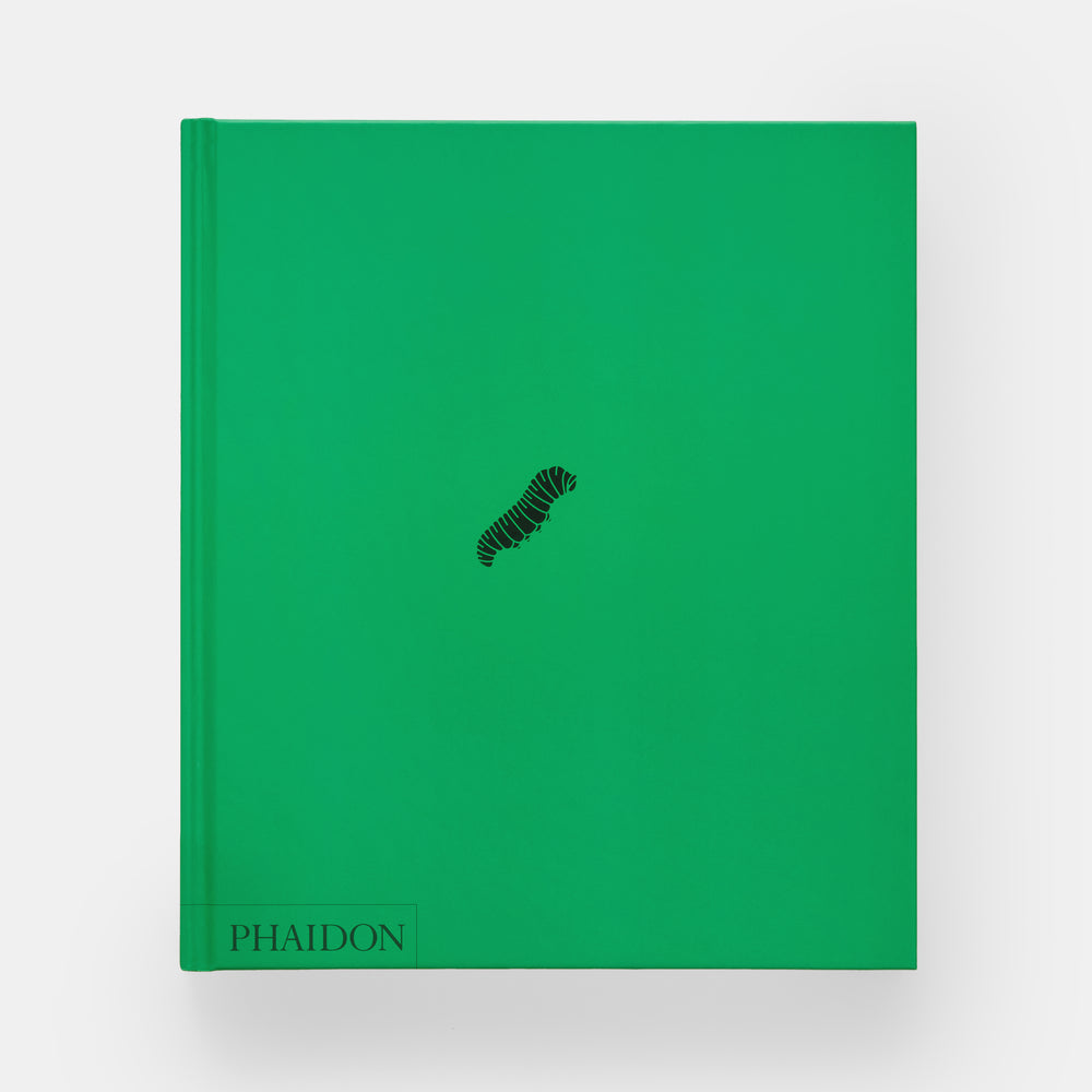 Butterfly: Exploring the World of Lepidoptera