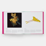 Butterfly: Exploring the World of Lepidoptera