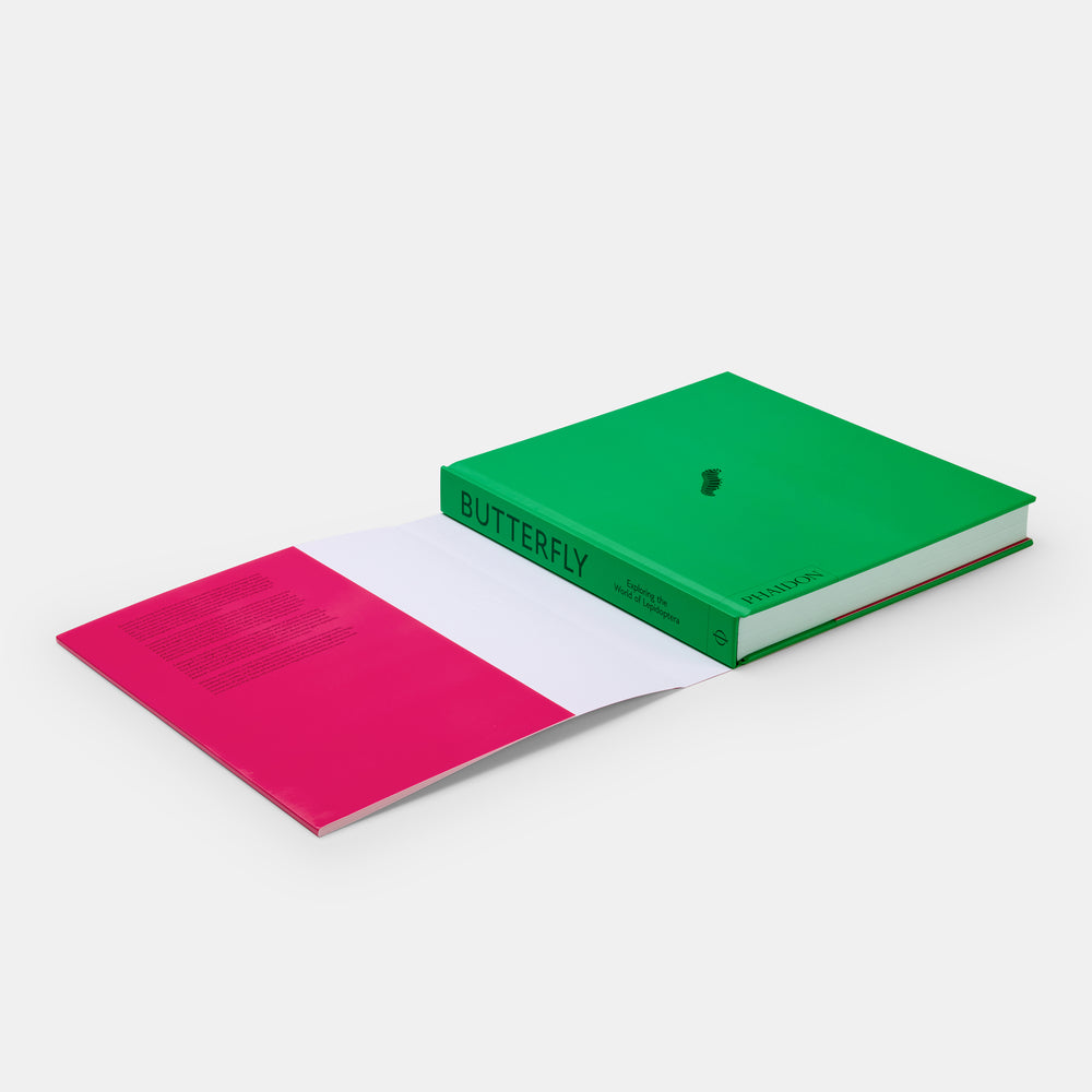 Butterfly: Exploring the World of Lepidoptera