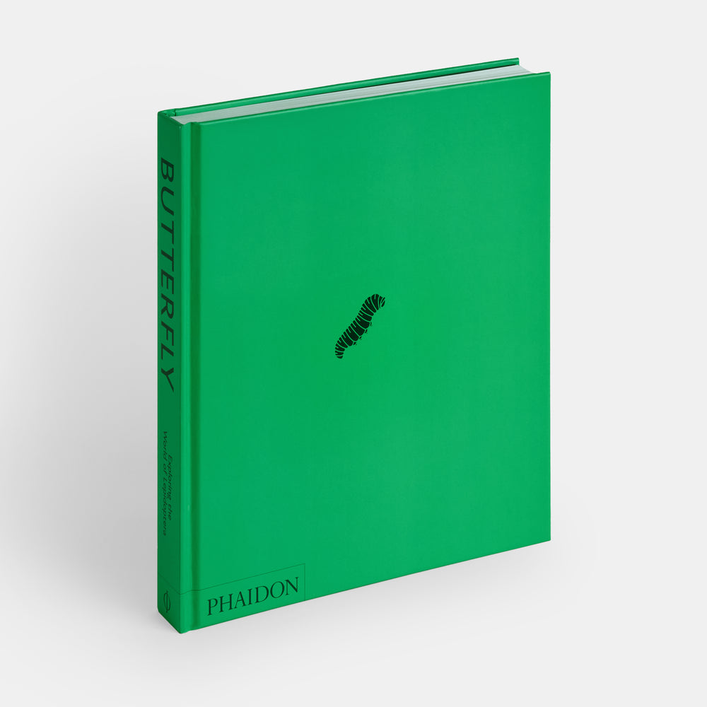 Butterfly: Exploring the World of Lepidoptera