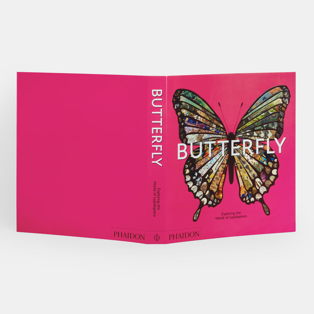 Butterfly: Exploring the World of Lepidoptera