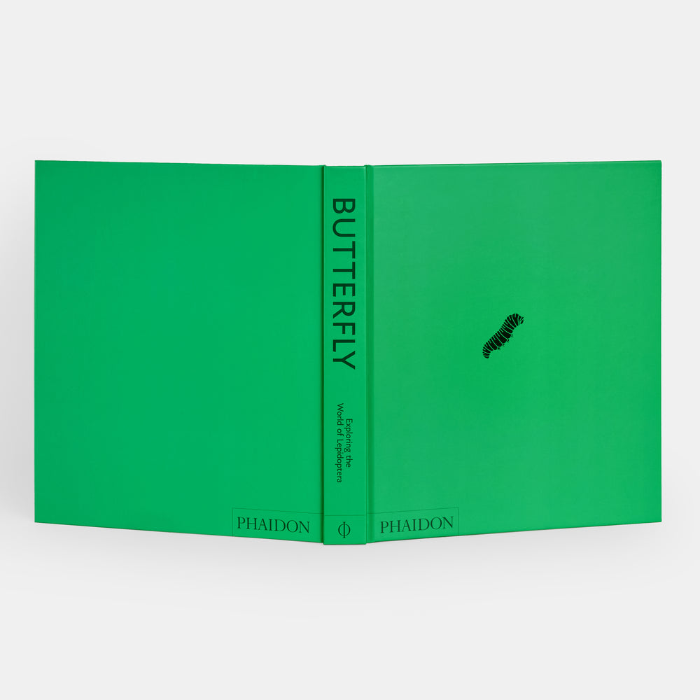 Butterfly: Exploring the World of Lepidoptera