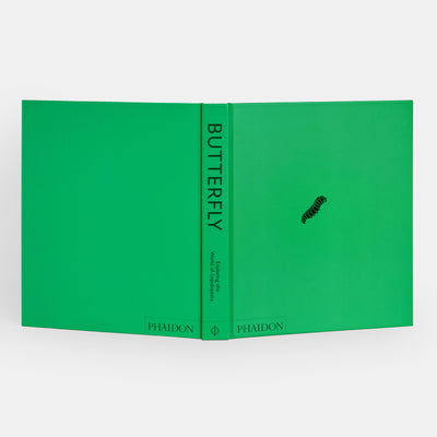 Butterfly: Exploring the World of Lepidoptera