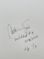 Pig Pen (1993) | Untitled #9 (2013)