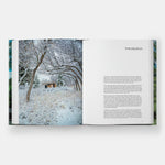 Connection: CCY Architects