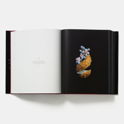 The JAR Paris Collection