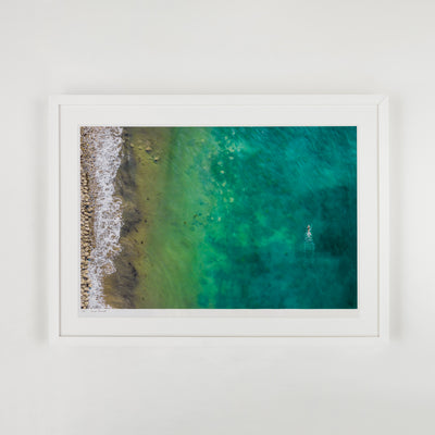 Gaviota Swimmer