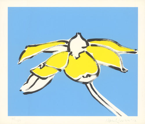 Black Eyed Susan
