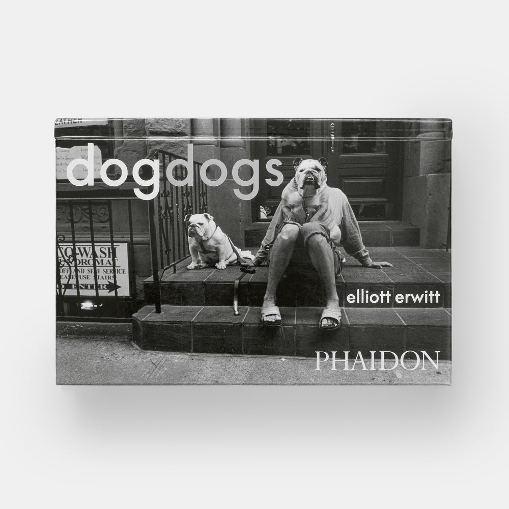 DogDogs