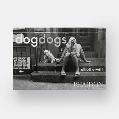 DogDogs