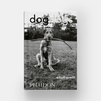 DogDogs