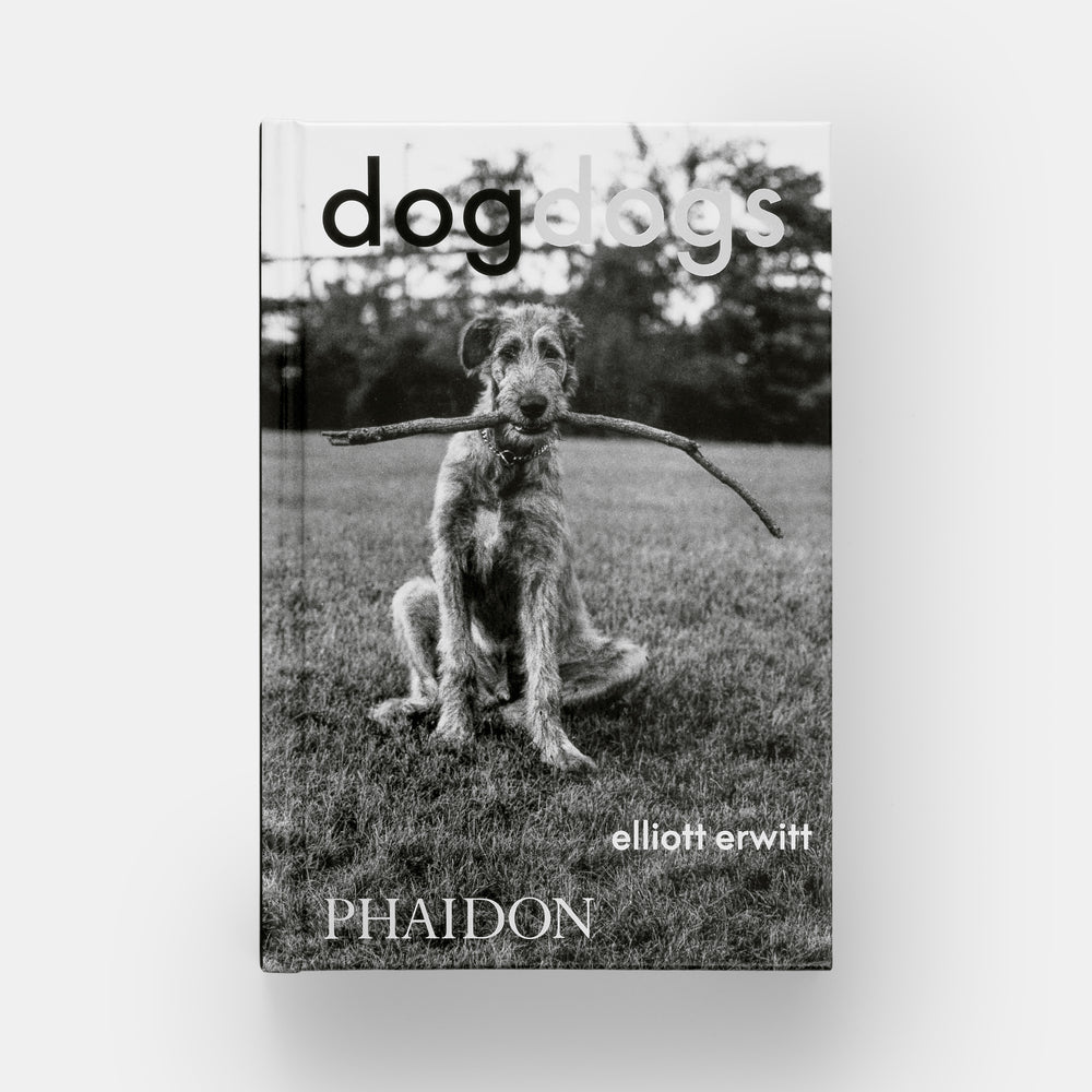 DogDogs