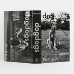 DogDogs