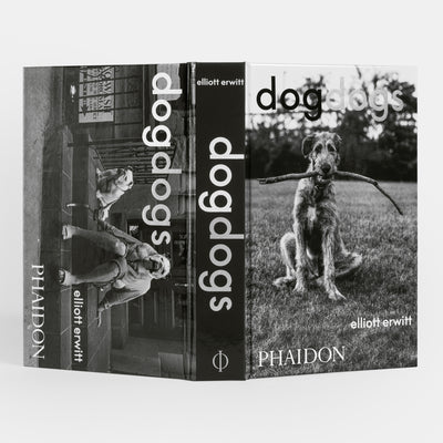 DogDogs