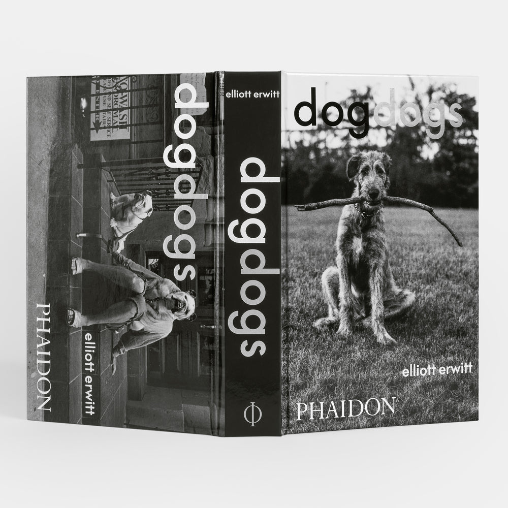 DogDogs