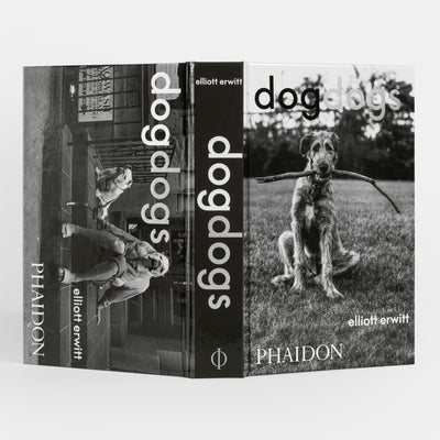 DogDogs