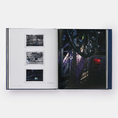 Donna Dennis: Poet in Three Dimensions