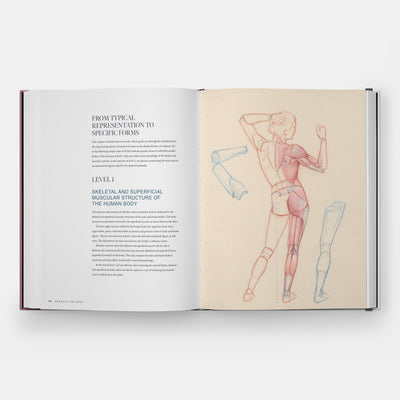 Drawing the Body: Reading the Human Form in Art