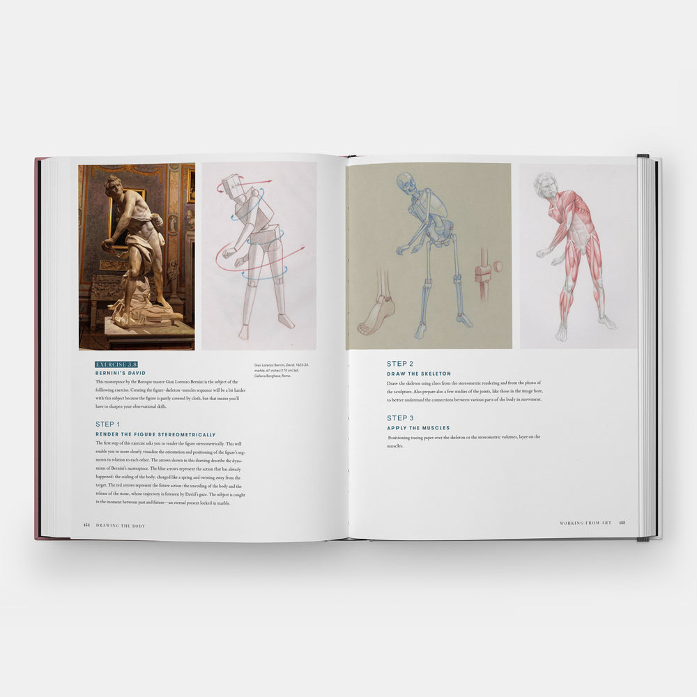 Drawing the Body