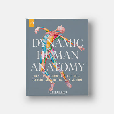 Dynamic Human Anatomy: An Artist's Guide to Structure, Gesture, and the Figure in Motion