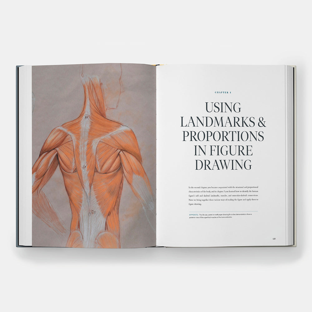 Dynamic Human Anatomy: An Artist's Guide to Structure, Gesture, and the Figure in Motion