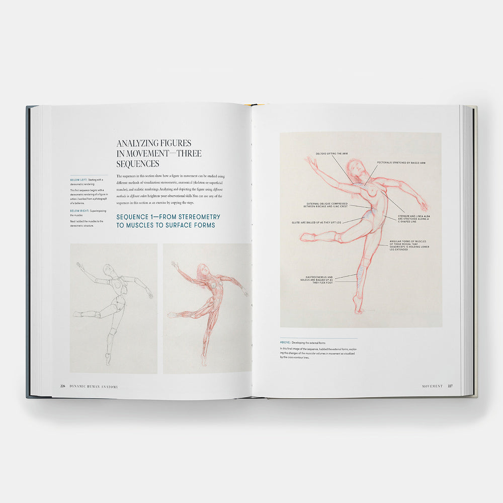 Dynamic Human Anatomy