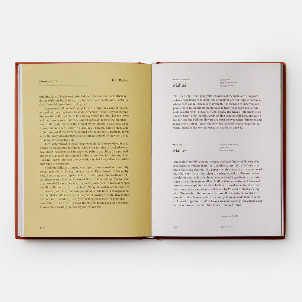 Edible Flowers: How, Why, and When We Eat Flowers