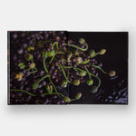 Emily Thompson Flowers