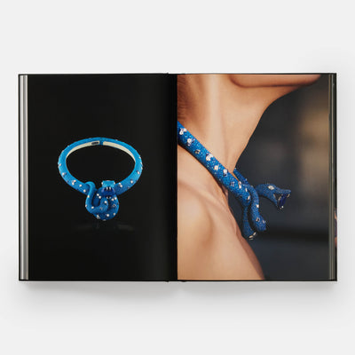 Fabio Salini: Rebel Jeweller