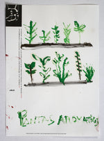 Theory of Culinary Evolution