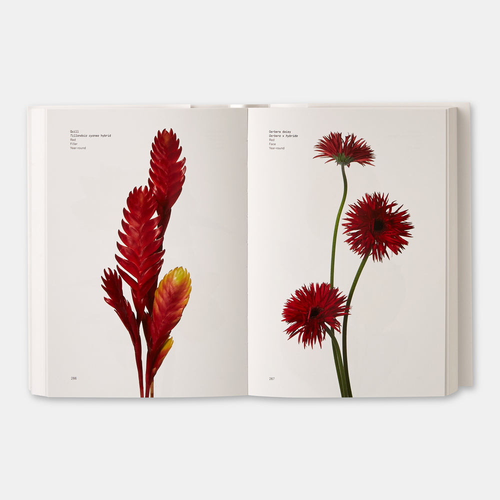 Flower Color Guide