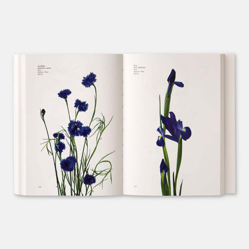 Flower Color Guide