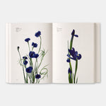 Flower Color Guide