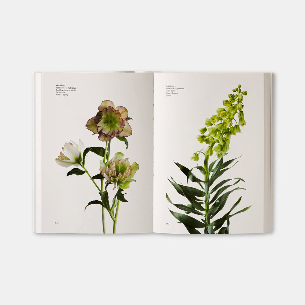 Flower Colour Guide