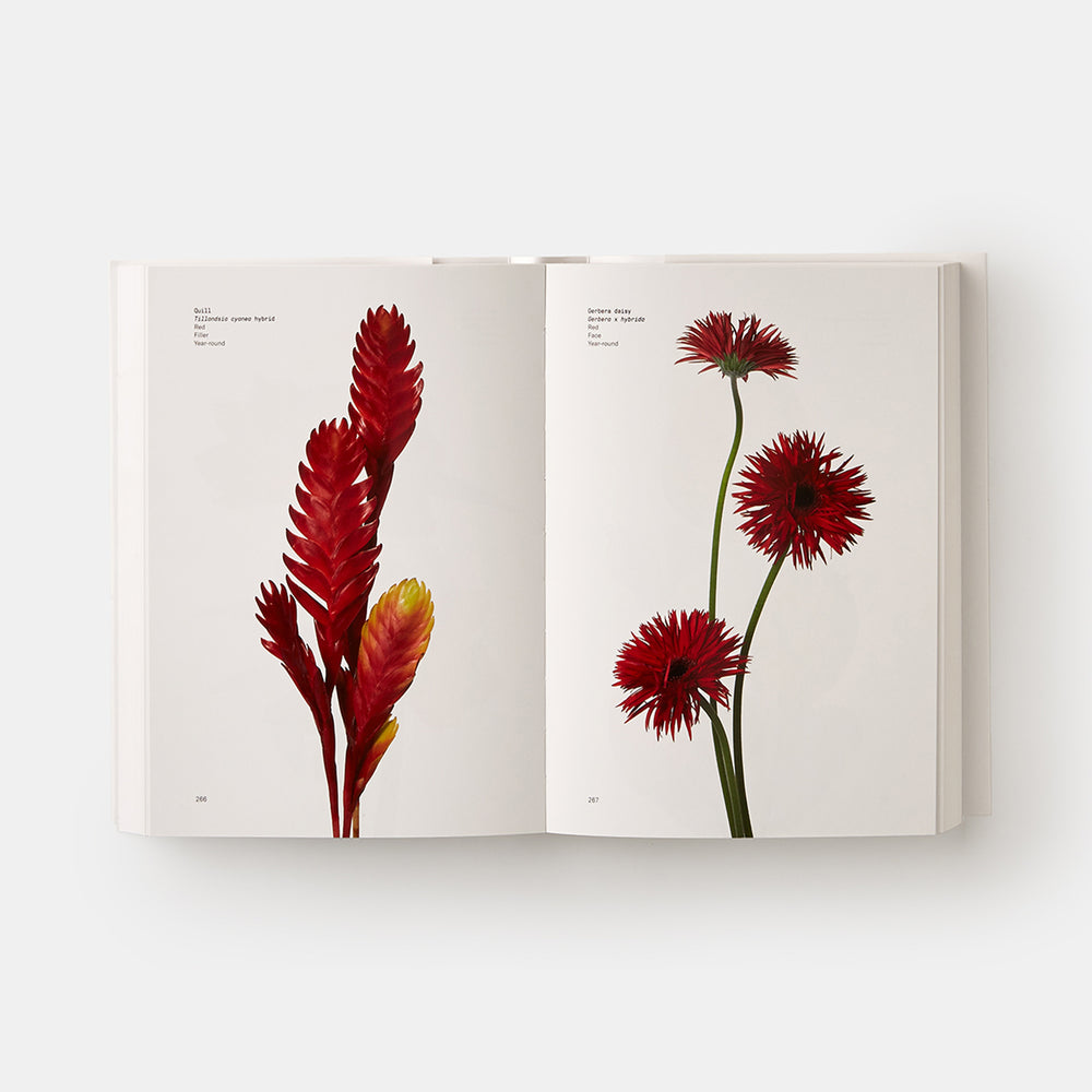 Flower Colour Guide