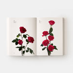 Flower Colour Guide