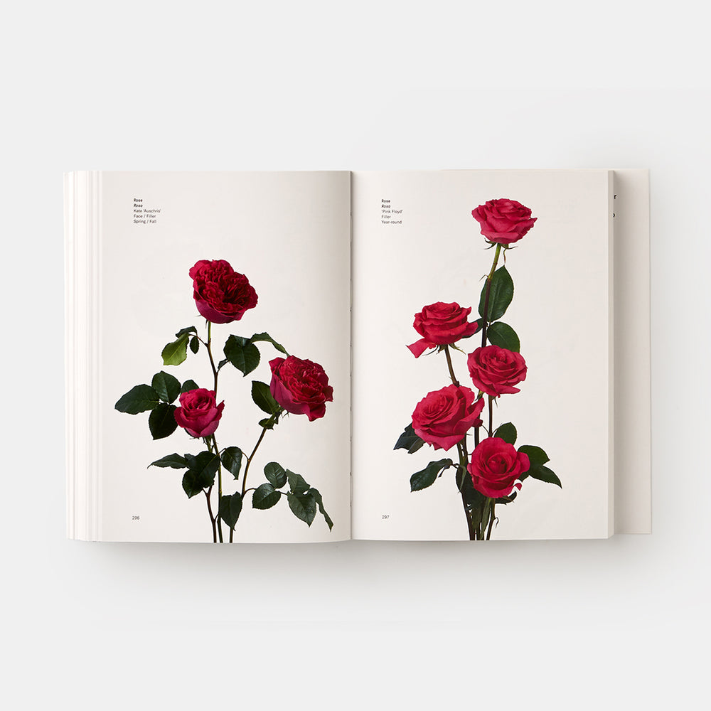 Flower Colour Guide